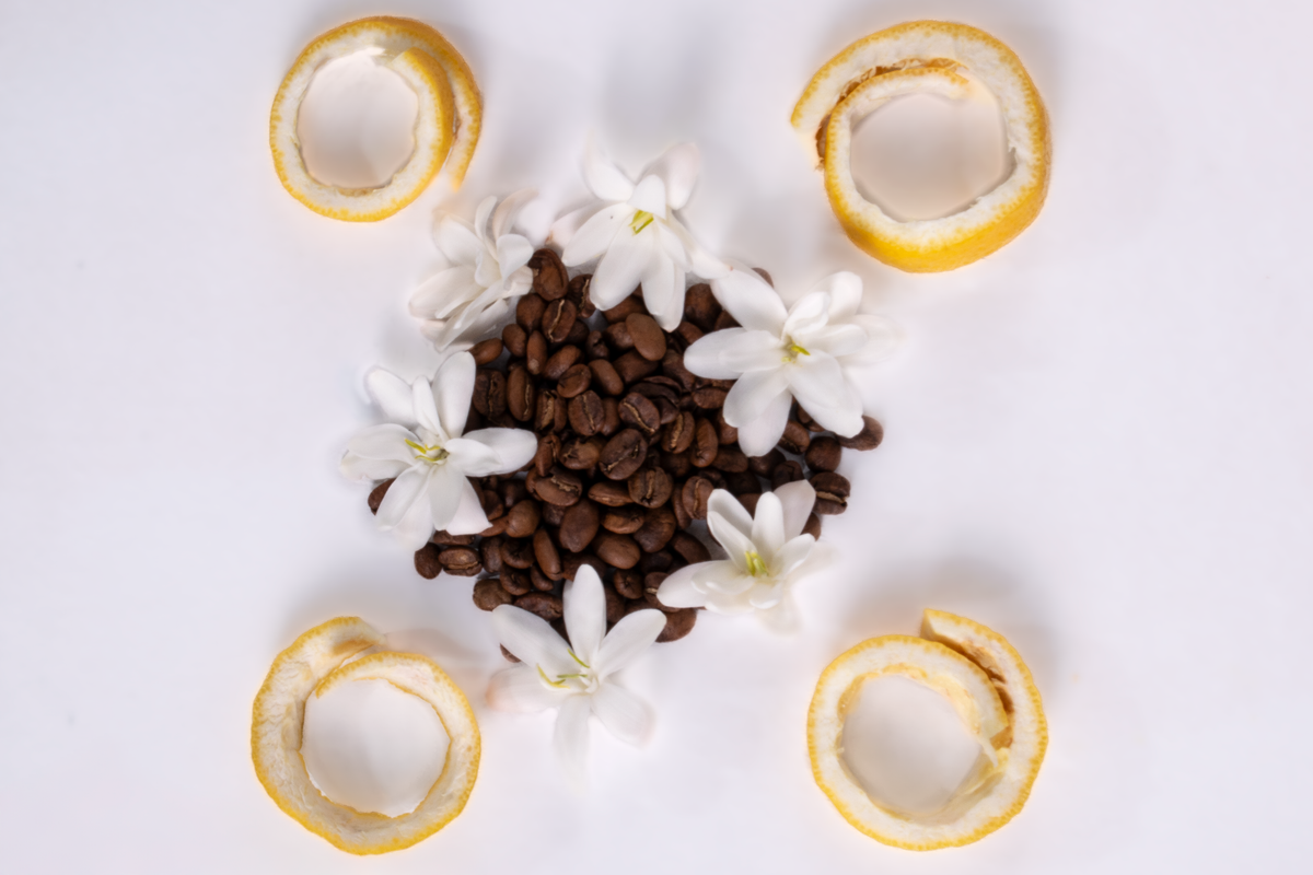 Café, jazmín y cítricos sobre un fondo blanco.